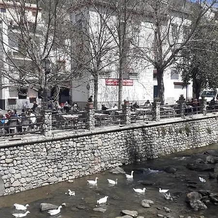 Apartamentos Pinos Genil *